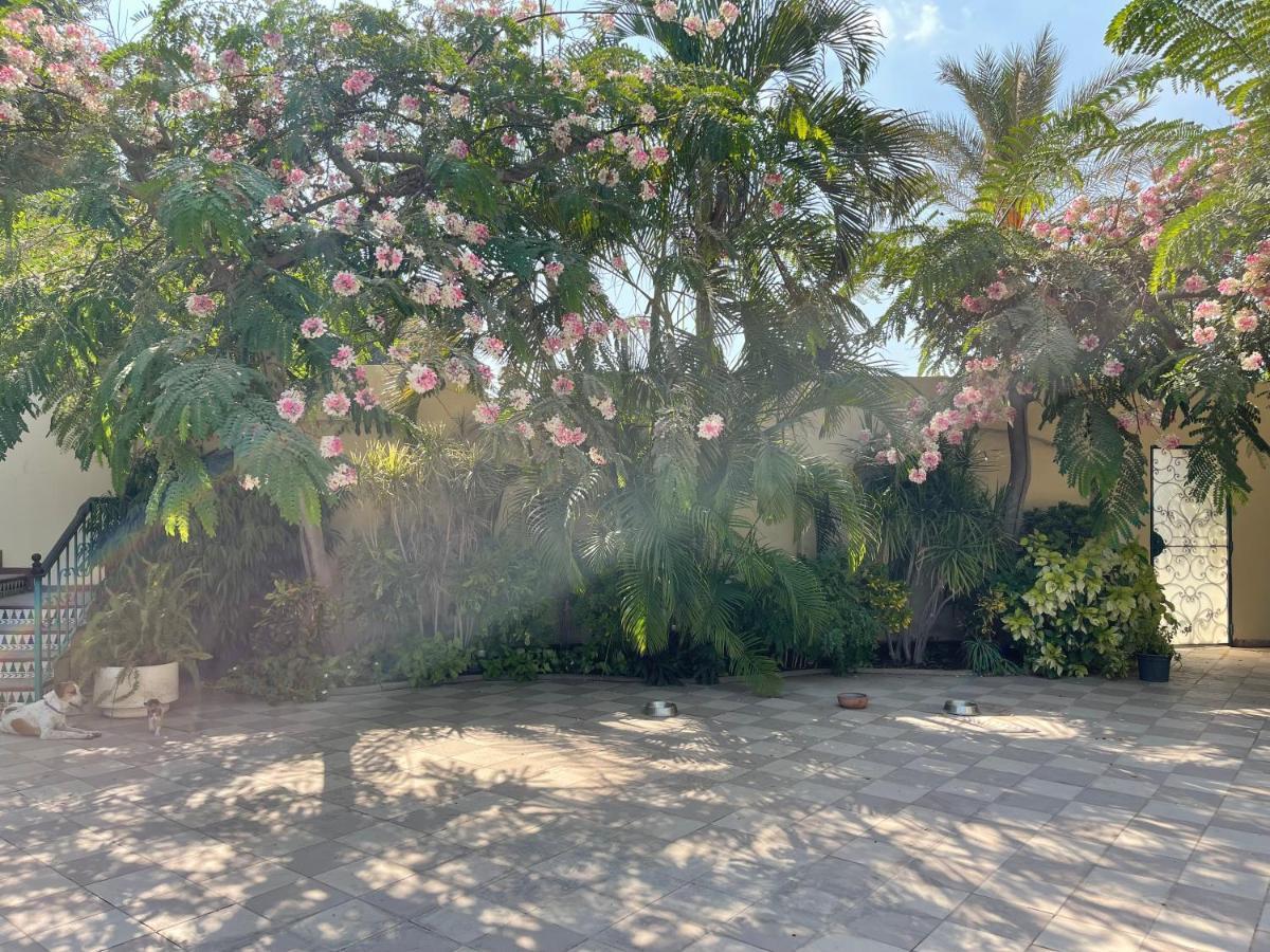 Huge Master Bedroom With Balcony Near The Pyramids Homestay *